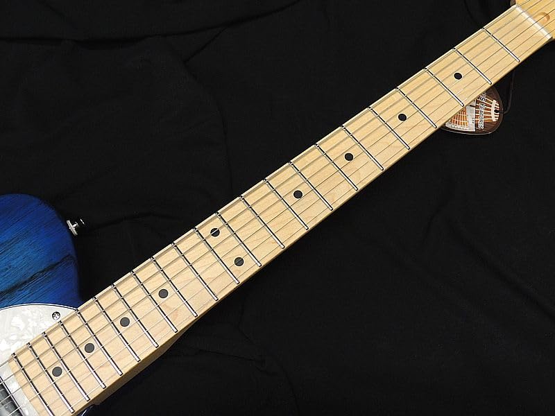 Amazon | FGN FUJIGEN NTE100MAHT SBB フジゲン Neo Classic SERIES