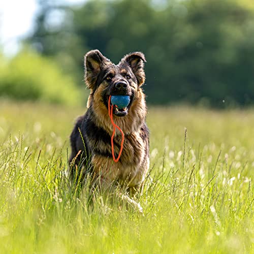 Sprenger Hundespielzeug Gummiball mit Seil I Zerrspielzeug oder Wurfspielzeug mit Schnur, robuster Ball für Hunde, Ø 75mm