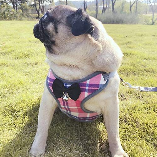 RYPET Small Dog Harness and Leash Set - Dog Harness No Pull Pet Harness with Soft Mesh Nylon Vest for Small Dogs and Cats Pink S - Thumbnail 7