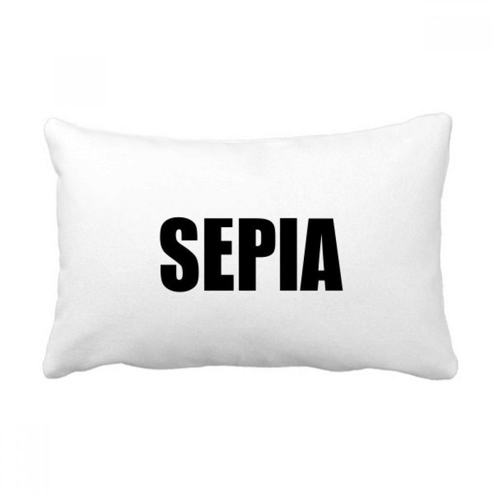 Coussin de décoration haut de gamme sépia noir oreiller lombaire grand confort 40x60cm