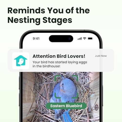 image for Birdfy Smart Bird House with Camera Solar Powered, 1080HD Live Video &