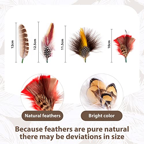 Mix Brown Hat Feathers, Assorted Natural Feather Packs Accessories For Fedora, Cowboy Hats, Pork Pie Hats, Trilby Hats,Oktoberfest Hat (11 Pcs) #TOP1