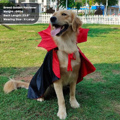 Photo complémentaire