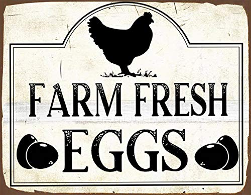 SIGNCHAT Farm Fresh Eggs Aluminum Sign Horizontal Outdoor Chicken Coop Sign Farm Fresh Eggs Weathered Metal Sign Vintage Chicken Sign Funny Chicken Coop Farm Chicken Metal Sign 8x12 inch Poster SP217