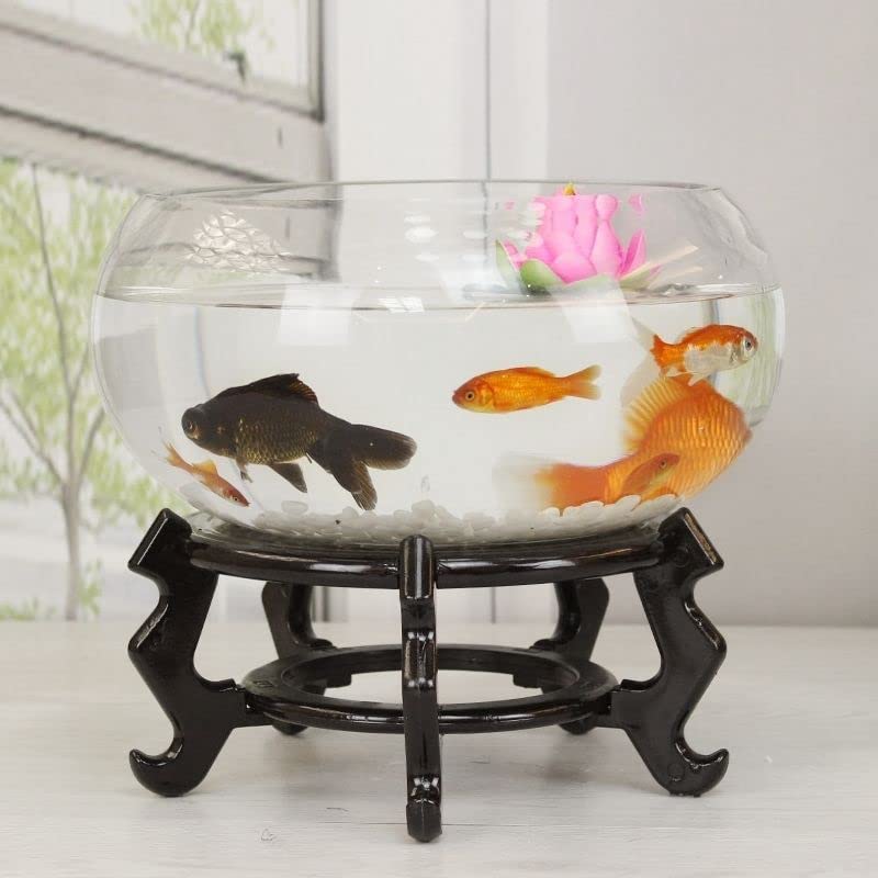 Amazon | 金魚鉢 ガラス 金魚鉢 ガラス 猫 金魚鉢 猫が入る 猫が入る