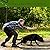 KNOOR Dog Whistle with Lanyard Neck Strap Durable Dog whistle to Stop Barking & Standardized Frequency Dog whistles for Recall Ideal for Dog to Train Basic Obedience & Modify Specific Behaviors