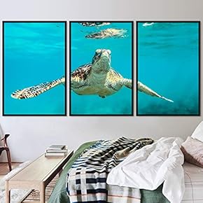 signwin 3 Piece Framed Canvas Wall Art Turtle...