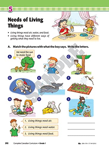 Complete Canadian Curriculum 1 (Revised & Updated): A Grade 1 integrated workbook covering Math, English, Social Studies, and Science - Image 8