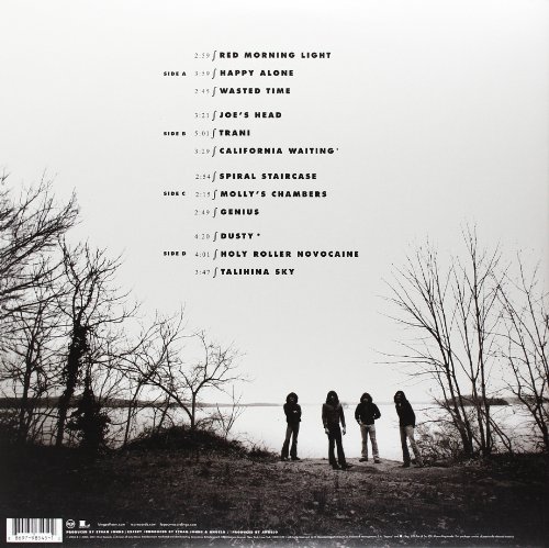 Youth and Young Manhood [Disco de Vinil]