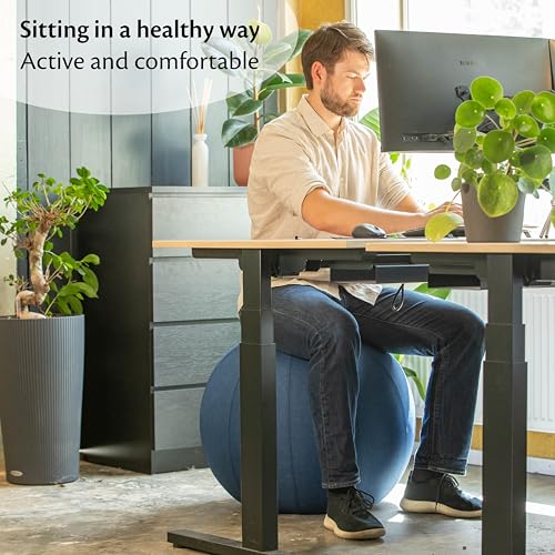 Image of Backerz Balance Ball Chair for Office & Home - Ergonomic Exercise Ball for Posture & Back Pain Relief, Yoga Ball Chair - Sitting Ball with Washable Linen Cover