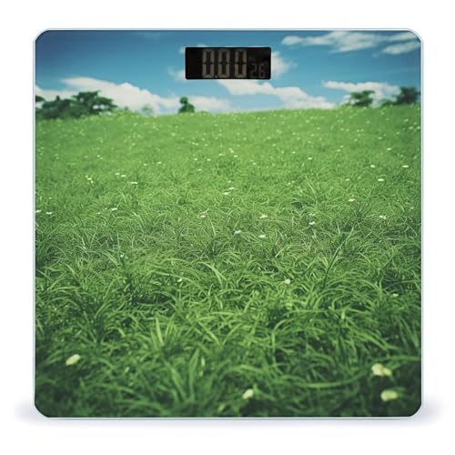 Báscula Digital de Baño Green Lawn Peso Corporal Precisa 400lb miniatura 1