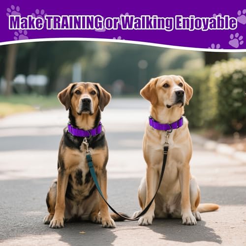 Image of Martingale Dog Collar, Reflective No Pull with Buckle,Purple, XS | Escape Proof without choking ,Training Collar with Quick Release Buckle, Adjustable Heavy Duty Nylon collars for S M L Dogs