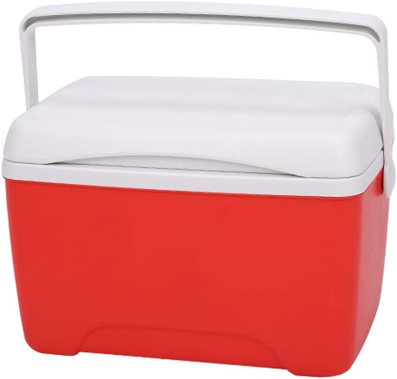 ghiacciaia portatile per auto