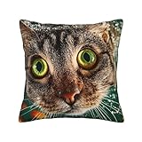 Fermeture éclair pratique et durable : la taie d'oreiller dispose d'une fermeture éclair dissimulée sur le côté pour une insertion et un retrait faciles de l'oreiller sans compromettre l'esthétique ; les coutures soignées et uniformes empêchent efficacement l'usure et maintiennent la forme de la taie d'oreiller