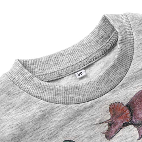 Image of Akyzic Boys Sweatshirts Cotton Long Sleeve Crewneck Pullover Toddler Kids Winter Warm Shirt Sweater Tops 3t-8t