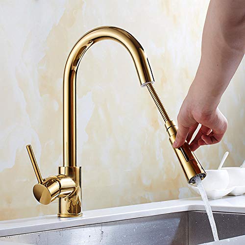 Robinet de cuisine en acier inoxydable avec douchette moderne pour évier