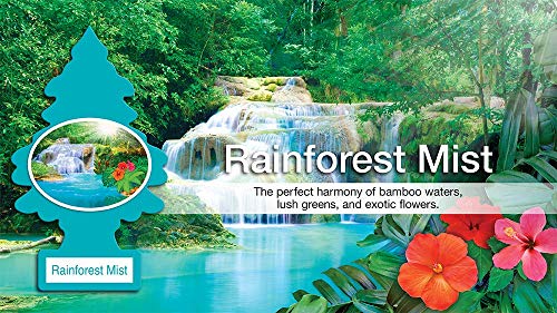 Image of Little Trees Cardboard Hanging Car, Home & Office Air Freshener, Rainforest Mist (Pack of 12)