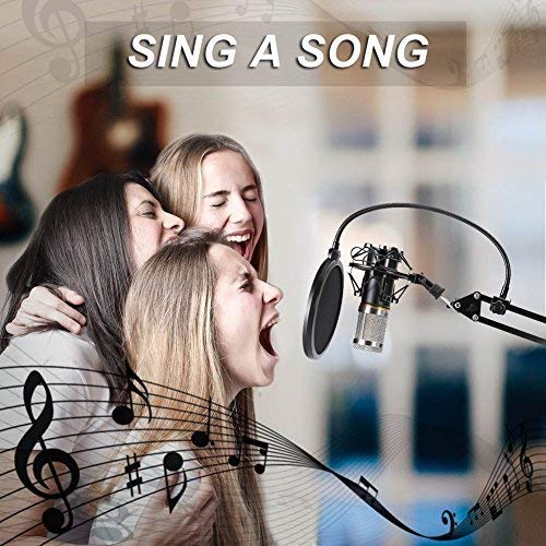 Microfono a Condensatore Professionale Studio