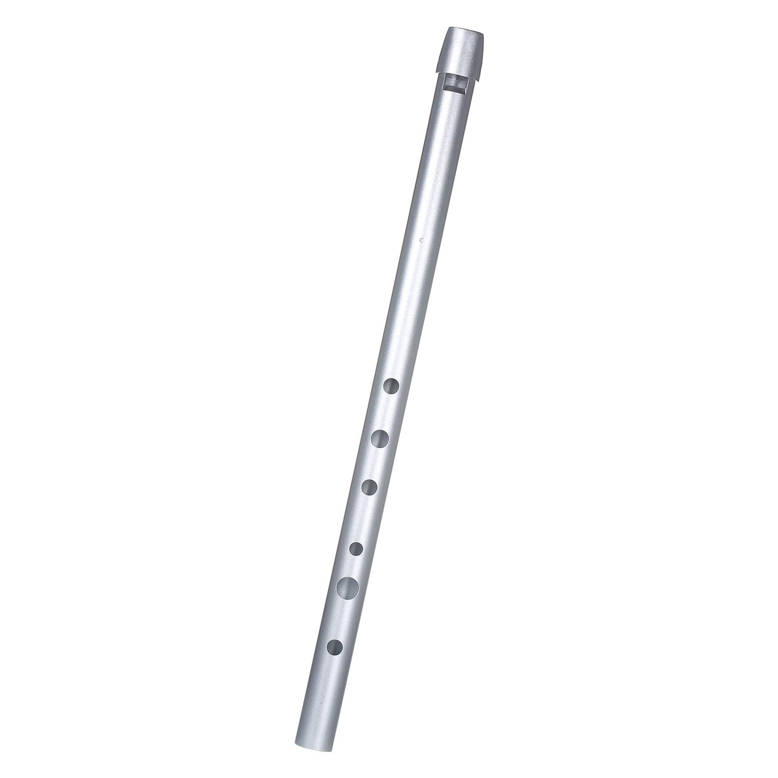 Sifflet Irlandais Traditionnel en étain pour Débutants, Facile à Jouer, clé de D, Instrument de Musique à Vent pour Débutants, Matériau étui Transparent, adapté aux, Intermédiaires et (Clé