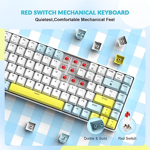 Image of LexonElec RK-84 Portable Mechanical Gaming Keyboard,Rainbow LED Backlit Compact 84 Keys Mini Wired Office Keyboard with Red Switch for Windows Laptop PC Mac-White /Blue /Orange