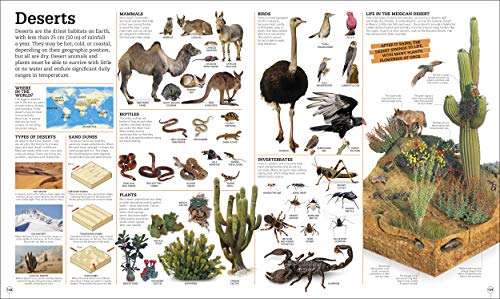 Picturepedia: an Encyclopedia on Every Page