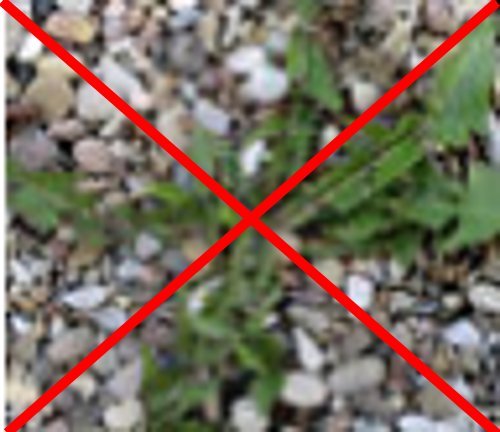 Preisvergleich Produktbild Bodengewebe 1,50 m x 20 m = 30 m²