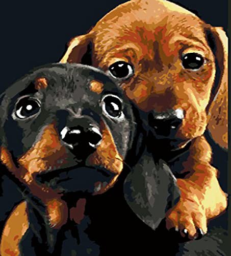 Point de croix 11CT toile imprimée broderie facile chien