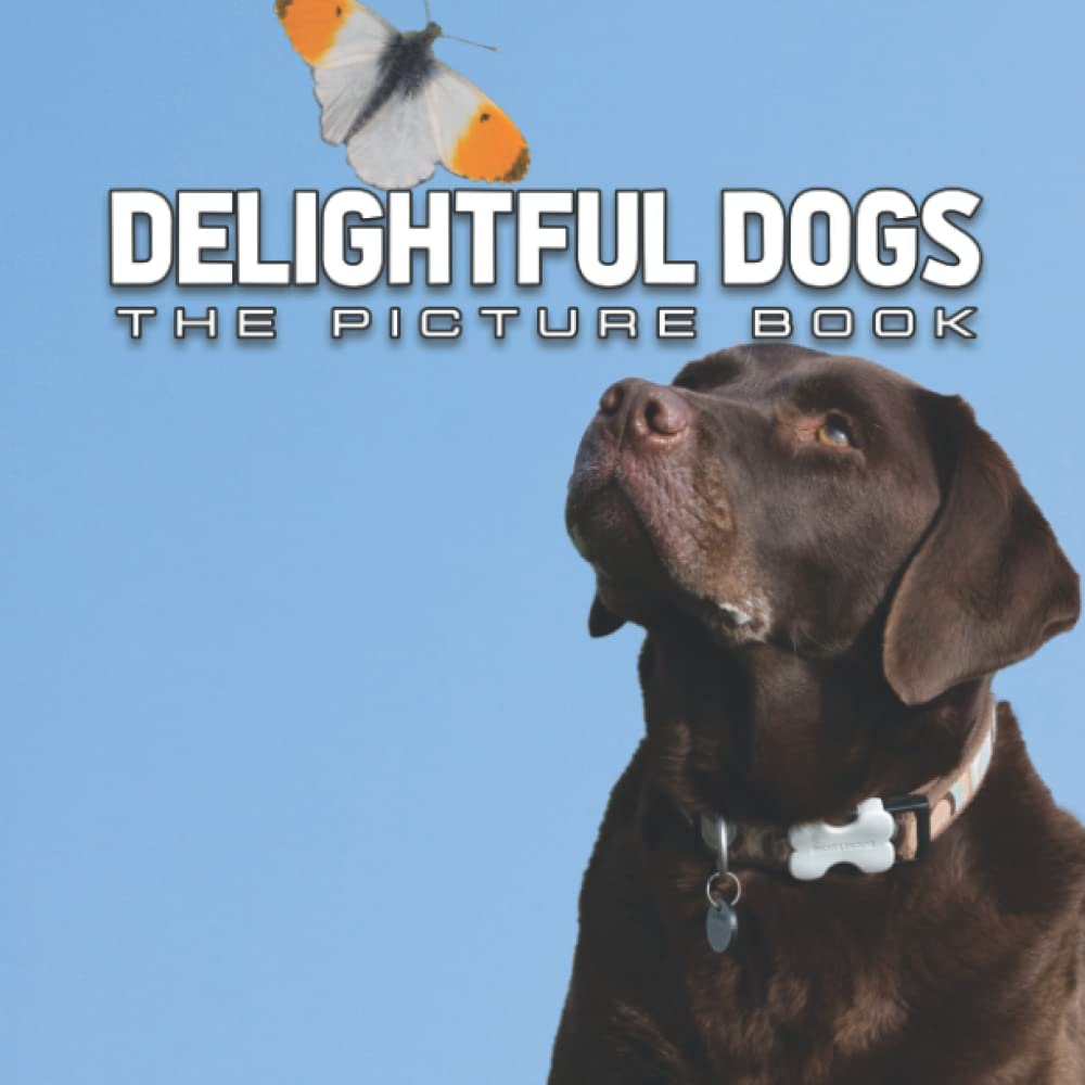 A Picture Book Of Delightful Dogs: An Amazing Collection With Compelling Photos Of Delightful Dogs To Give On Thanks Giving, Christmas, New Year, And So On