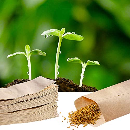 Rifrpha 100 Stück Kraftpapier Tüten Beutel Kleine Braune Flachbeutel Papiertüten Klein Mini Papierbeutel Schmucktüten Klein Kraft Umschlag für Süßigkeiten Samen Hochzeit Geschenke Weihnachtskarte