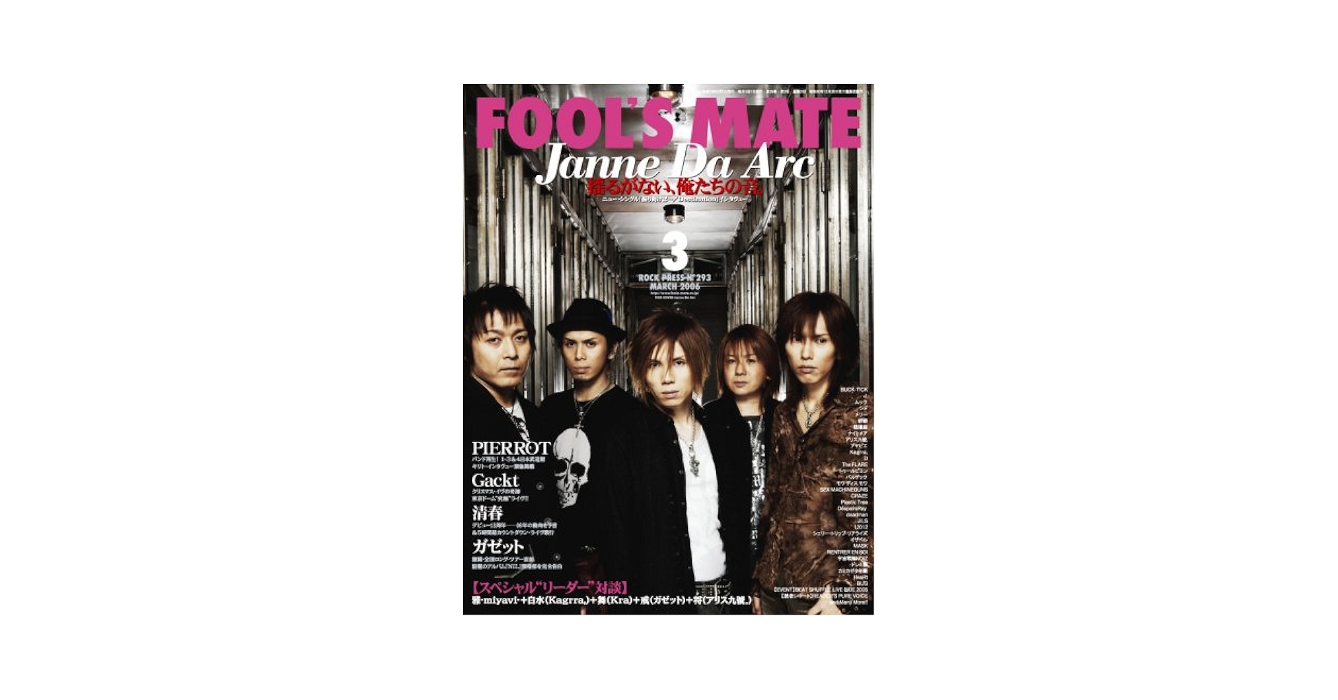 Laputa　FOOL'S MATE extrax 　アーティストブック Laputa from the cradle to the (FOOL'S MATE extrax) |本