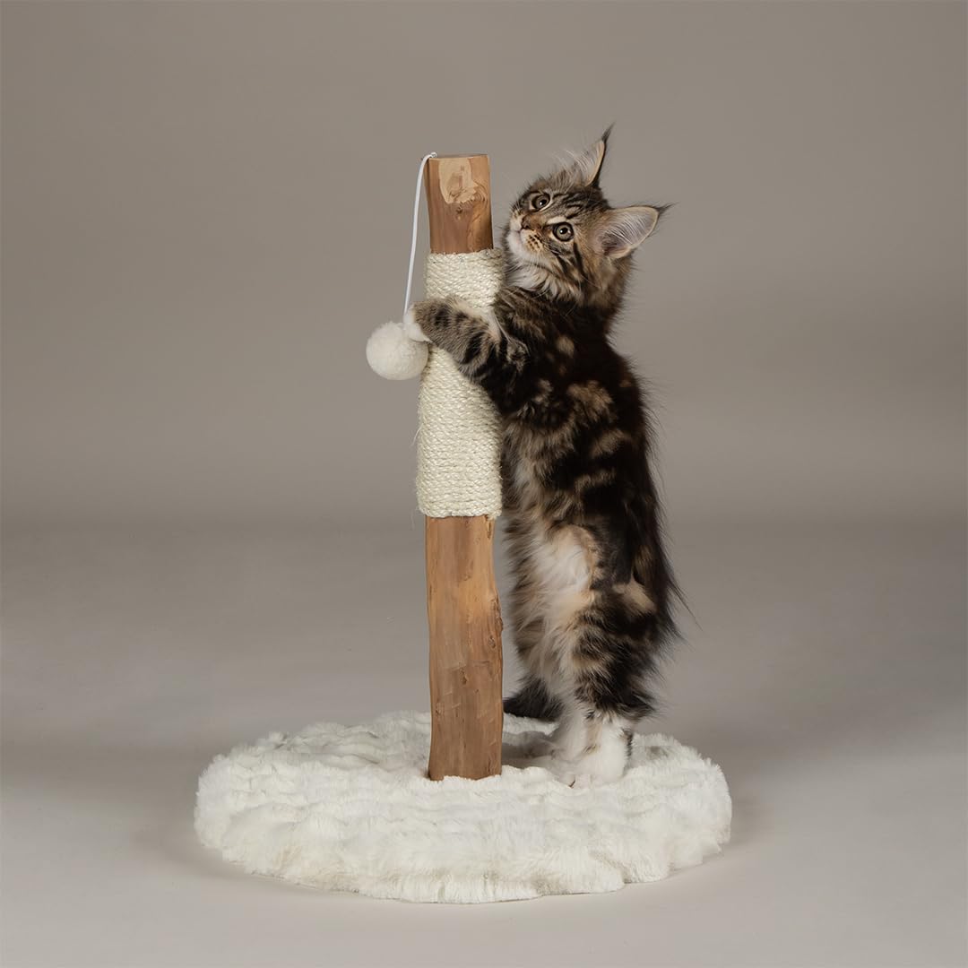 Scruffs Andes "My First" Cat Scratching Tree