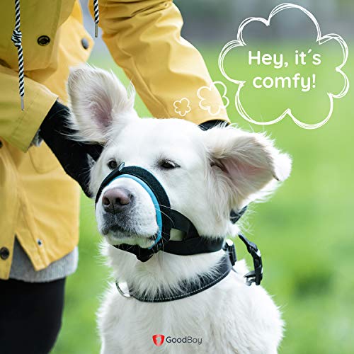 Image of Gentle Muzzle Guard for Dogs - Prevents Biting and Unwanted Chewing Safely Secure Comfort Fit - Soft Neoprene Padding - No More Chafing - Training Guide Helps Build Bonds with Pet (S, Blue)