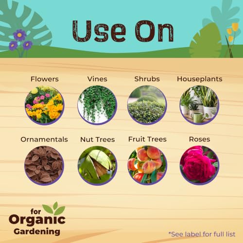 Image of Bonide Captain Jack's Fruit Tree Spray, 32 oz Concentrate, Insect & Disease Control Spray for Organic Gardening