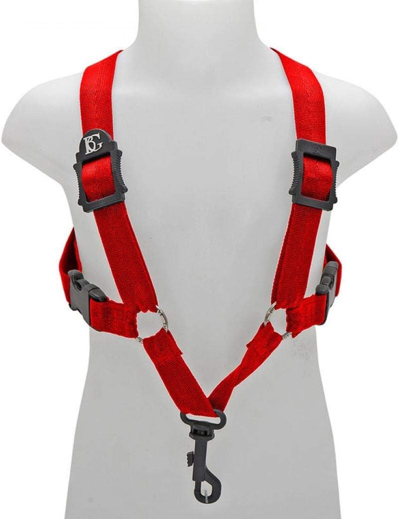 BG FRANCE 0 String Acoustic Guitar, Black (S429M)