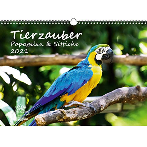 Télécharger Calendrier 2021 - Motif perroquets et perruches - Format A3 - Coffret cadeau - Contenu : 1 calendrie Livre PDF Gratuit