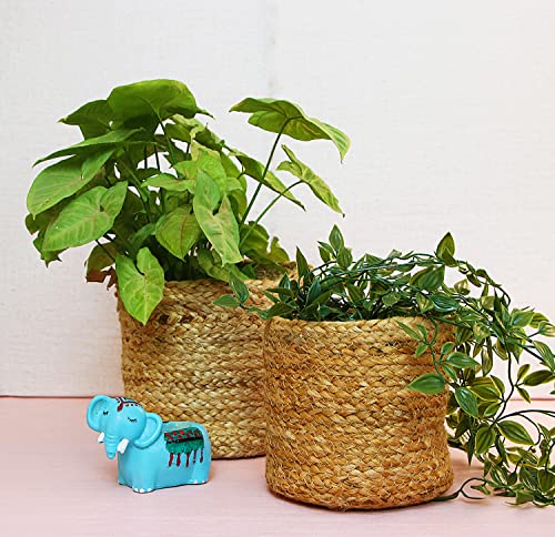 Leafy Tales HandWoven Round Pot Bag in Natural Jute - Plant Bag for All Plants, Indoor Outdoor Plant Sack (Set of 2) (Beige) (10x10 inches. 12x12 inches), Jute Bag 10" + 12" (B09GLV618V) Amazon Price History, Amazon Price Tracker