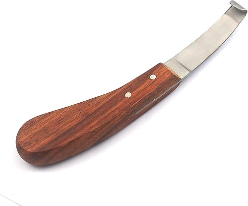 HOOF Cuchillo Hoja Ancha Izquierda Herrero Equino Caballo Hoja de Acero Inoxidable Mango de Madera por G.S Online Store