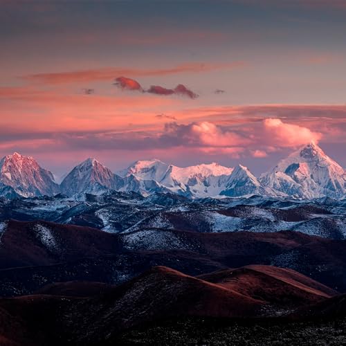 Image of Fujifilm X-T50 40 MP APS-C X-Trans Sensor|Retro Style mirrorless Camera|4k /6.2k vlogging|High Speed Recording FHD 240fps - Charcoal