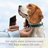 Ring Pet Tag | Easy-to-use tag with QR code | Real-time scan alerts | Shareable Pet Profile | No subscription or fees
