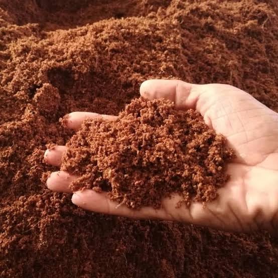 Substrat de fibre de coco comprimé Cocopit terreau brique pour plantes - 2