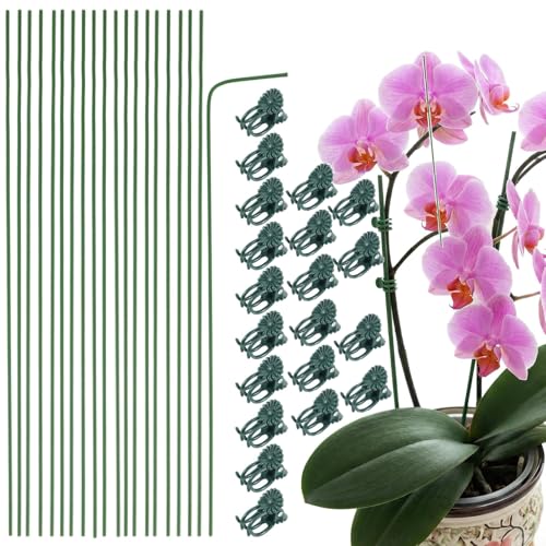 Plant Support Stick, Climber Plant Support Gardening Items for Home Gardeners, Ideal for Potted Orchids,Climbing Vines, Orchid Sticks and Clips, Tomatoes, Roses, and Other Tall