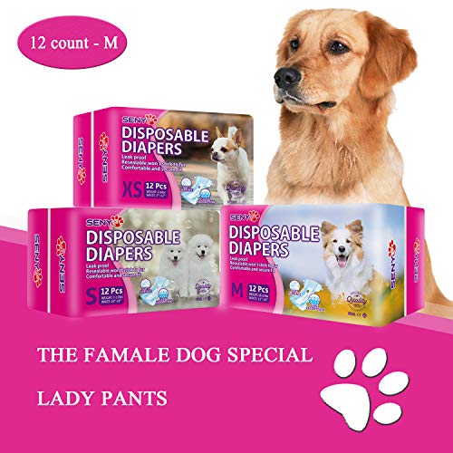 disposable dog diapers female