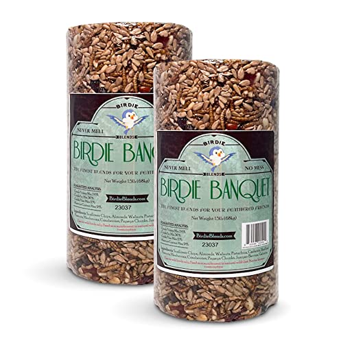 Birdie Blends Birdie Banquet Bugs Nuts and Fruit Bird Seed 4 Cylinder for Wild Birds (2-Pack)