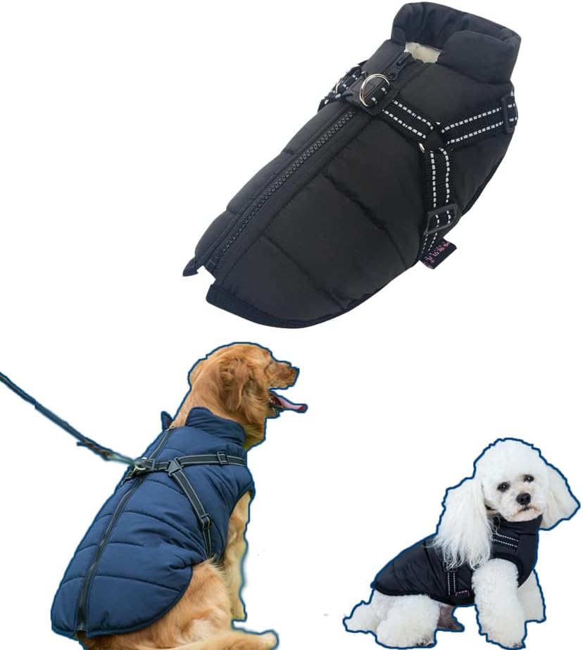 duluth trading dog coat