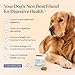 Pawfy Probiotics for Dogs | Supports Digestive Health, Diarrhea for Small, Large Dogs | Improves Gut Health | Anti Yeast Supplements | Skin Health Seasonal Allergies Support - 30 Chews (Bacon)