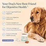 Pawfy Probiotics for Dogs | Supports Digestive Health, Diarrhea for Small and Large Dogs | Improves Gut Health | Anti Yeast Supplements | Promotes Skin Health and Seasonal Allergies Support - 30 Chews - Image 2