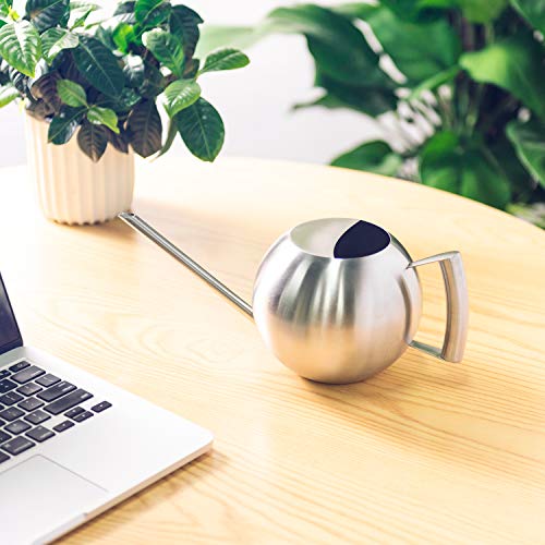 IMEEA Watering Can for Indoor House Plants Long Spout Brushed Stainless Steel Watering Pot, 45oz/1.3L
