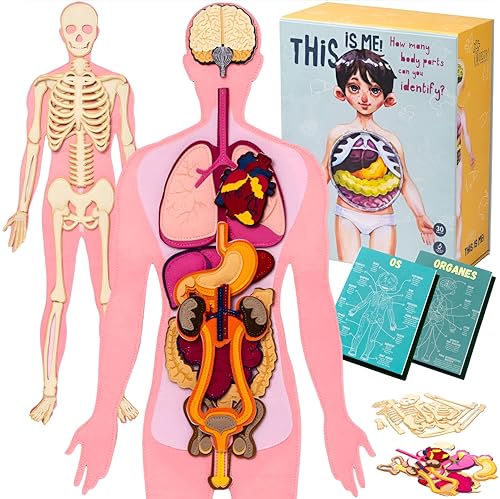 Puzzle Anatomie du Corps Humain pour Enfants