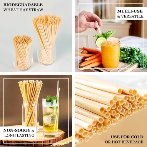 100 pitillos biodegradables de trigo de 9 pulgadas miniatura 4