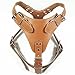 Dogs Kingdom 26"-34" Soft Leather Dog Harness Large for Pit Bull, Boxer, Bull Terrier